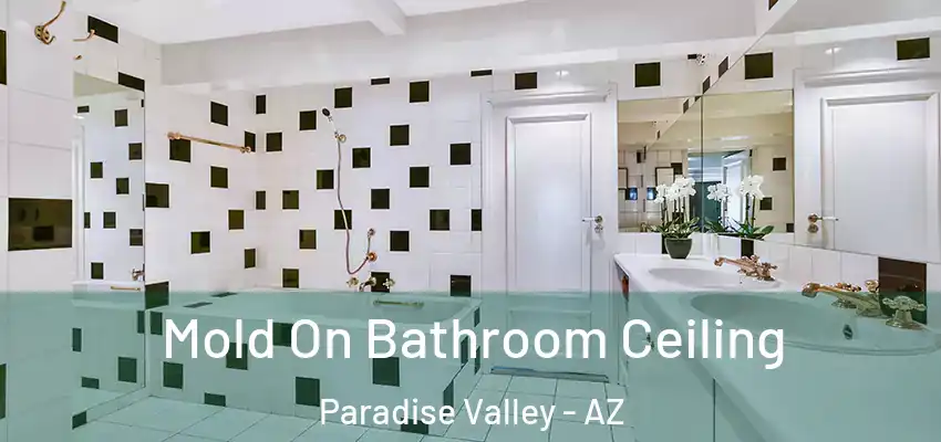 Mold On Bathroom Ceiling Paradise Valley - AZ