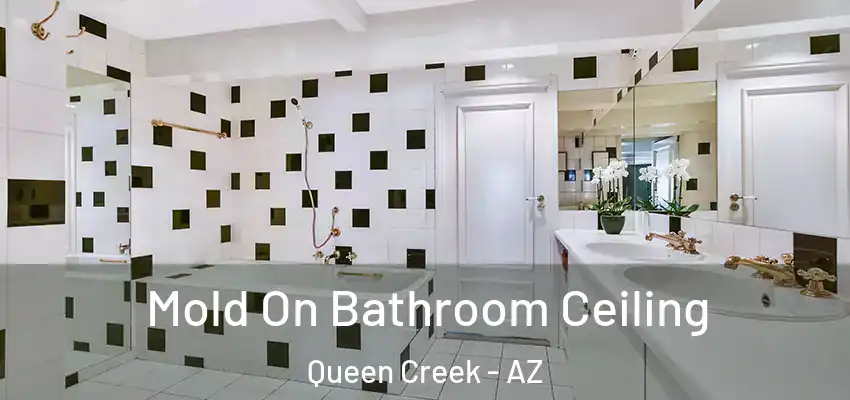  Mold On Bathroom Ceiling Queen Creek - AZ
