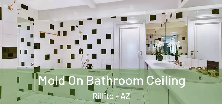  Mold On Bathroom Ceiling Rillito - AZ