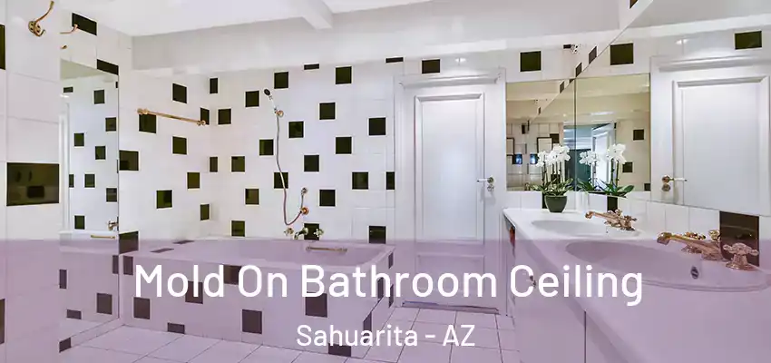  Mold On Bathroom Ceiling Sahuarita - AZ