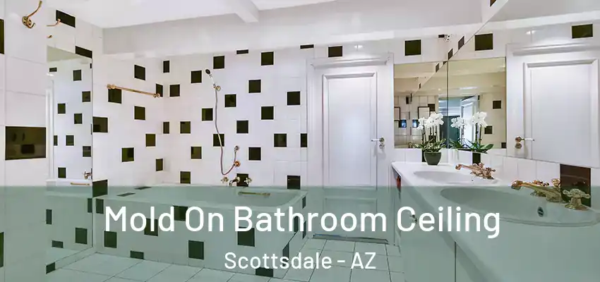  Mold On Bathroom Ceiling Scottsdale - AZ