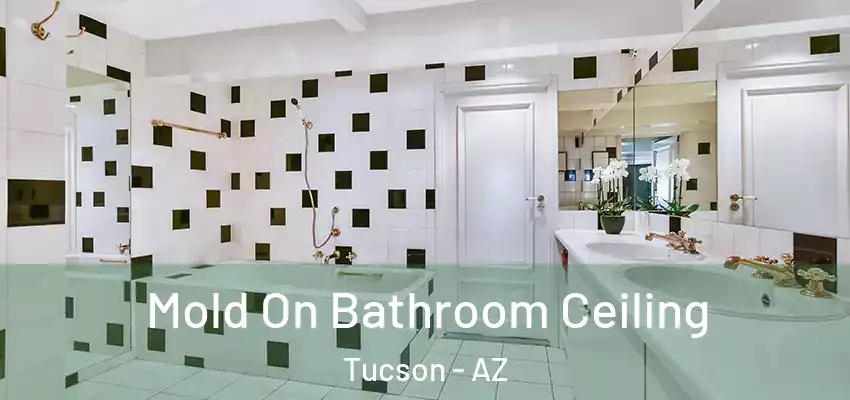  Mold On Bathroom Ceiling Tucson - AZ