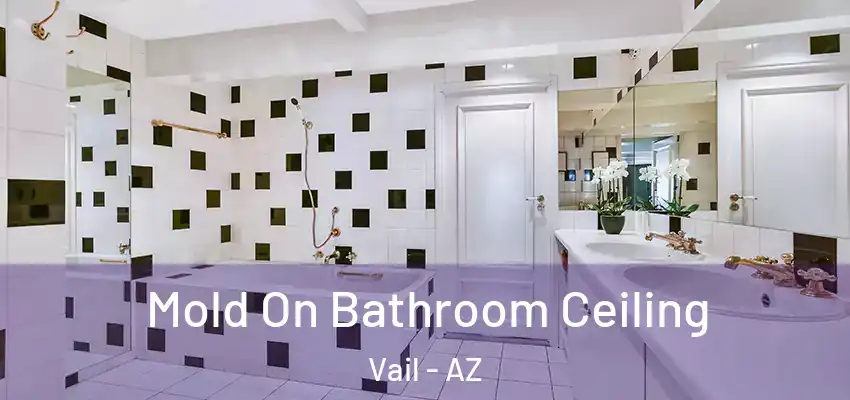 Mold On Bathroom Ceiling Vail - AZ