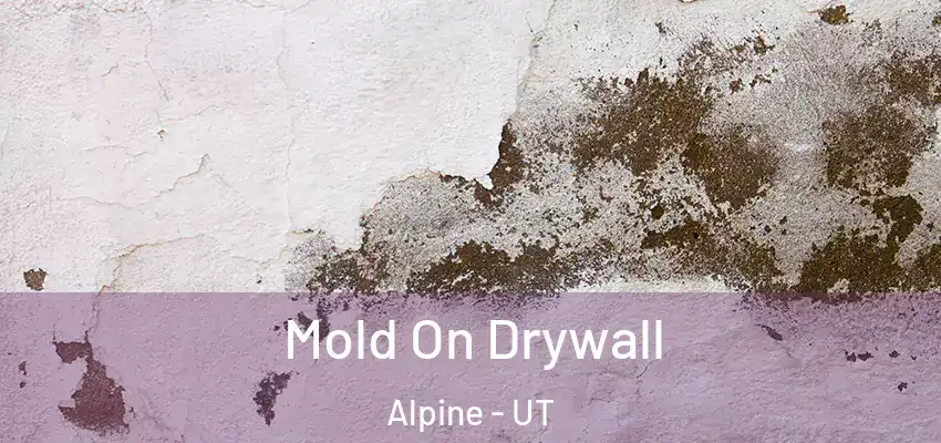  Mold On Drywall Alpine - UT
