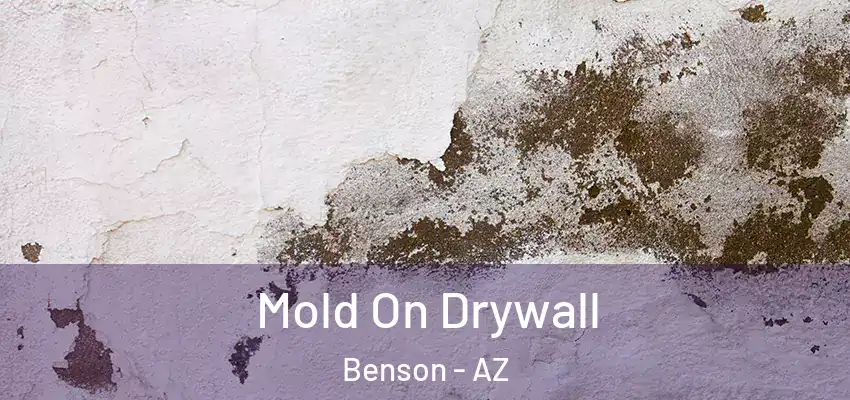  Mold On Drywall Benson - AZ