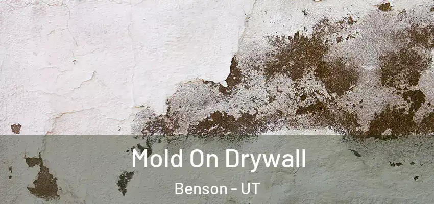  Mold On Drywall Benson - UT