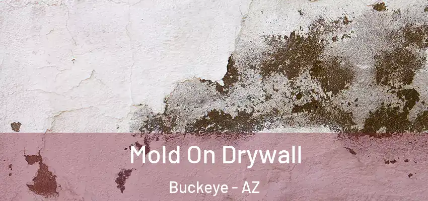  Mold On Drywall Buckeye - AZ