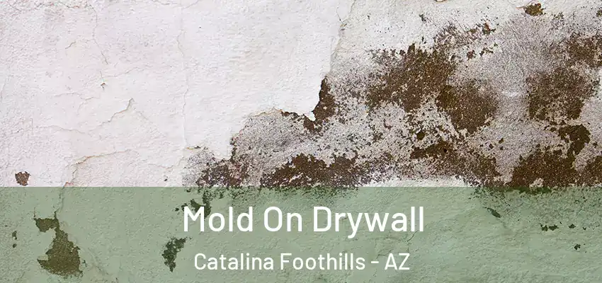  Mold On Drywall Catalina Foothills - AZ