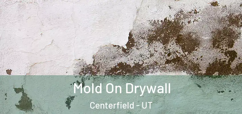  Mold On Drywall Centerfield - UT