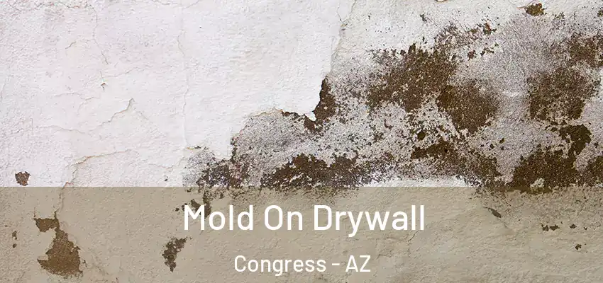  Mold On Drywall Congress - AZ