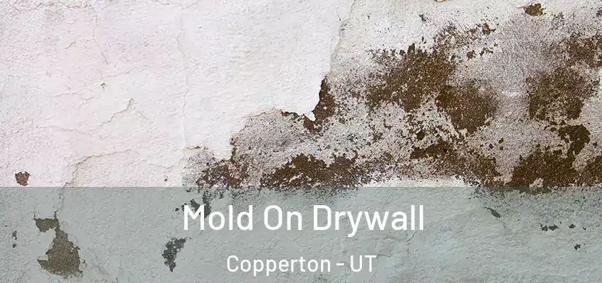  Mold On Drywall Copperton - UT