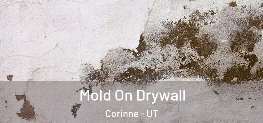  Mold On Drywall Corinne - UT