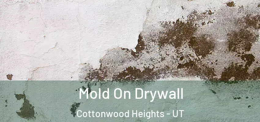  Mold On Drywall Cottonwood Heights - UT