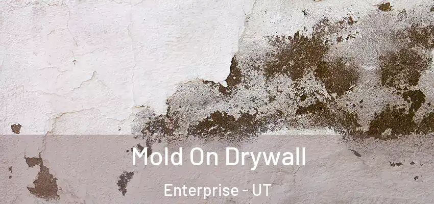  Mold On Drywall Enterprise - UT