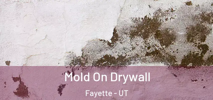  Mold On Drywall Fayette - UT