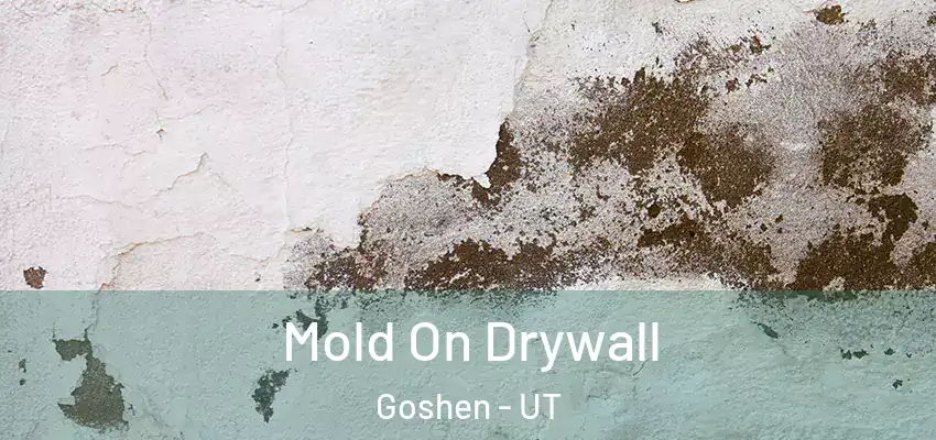  Mold On Drywall Goshen - UT