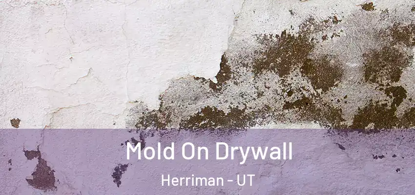  Mold On Drywall Herriman - UT