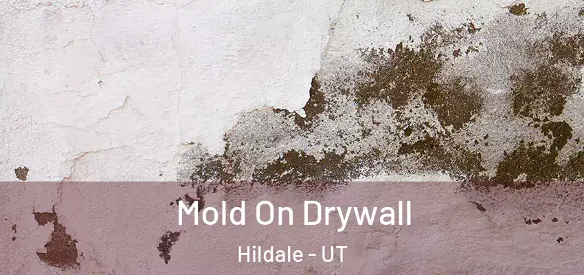  Mold On Drywall Hildale - UT
