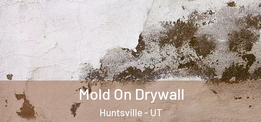  Mold On Drywall Huntsville - UT
