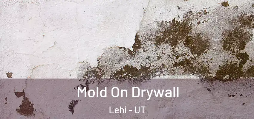  Mold On Drywall Lehi - UT
