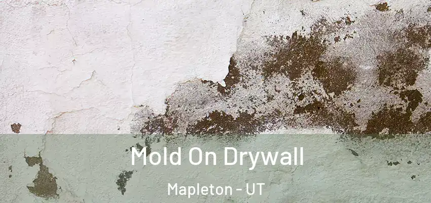 Mold On Drywall Mapleton - UT