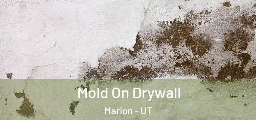  Mold On Drywall Marion - UT