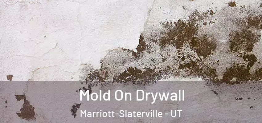  Mold On Drywall Marriott-Slaterville - UT