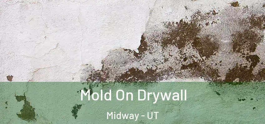  Mold On Drywall Midway - UT