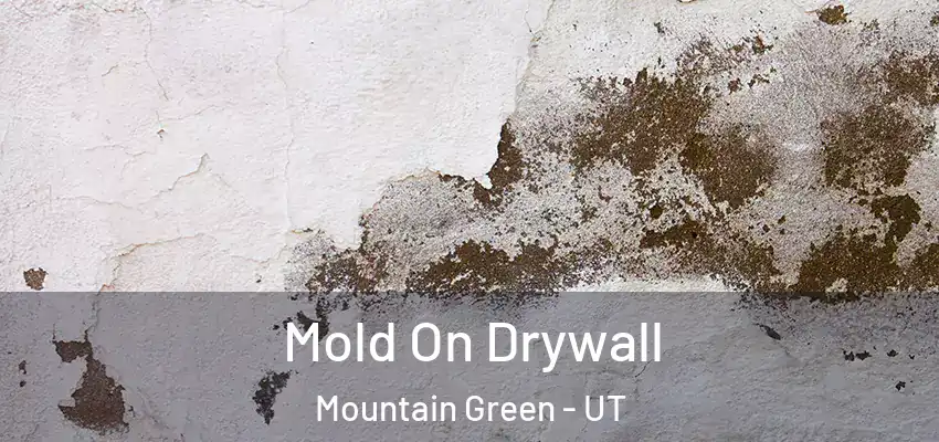  Mold On Drywall Mountain Green - UT
