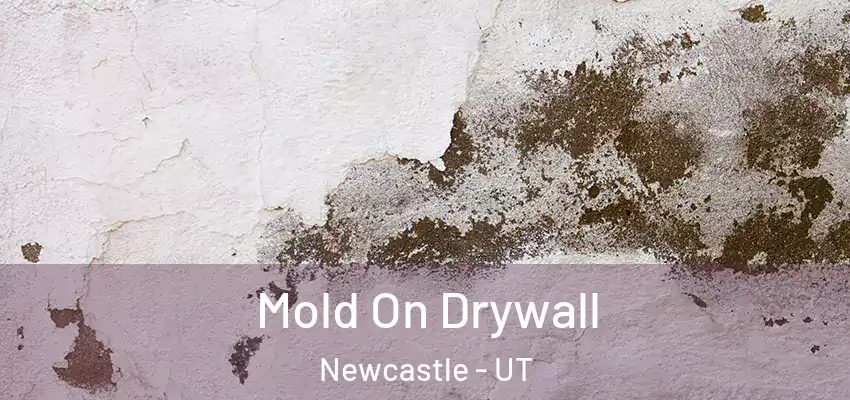  Mold On Drywall Newcastle - UT