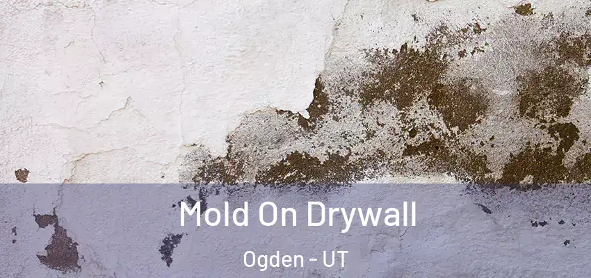  Mold On Drywall Ogden - UT