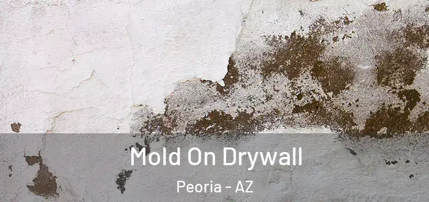  Mold On Drywall Peoria - AZ