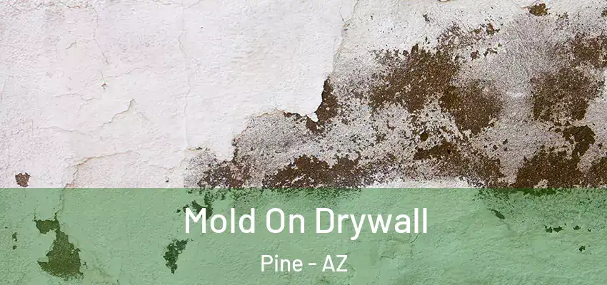 Mold On Drywall Pine - AZ