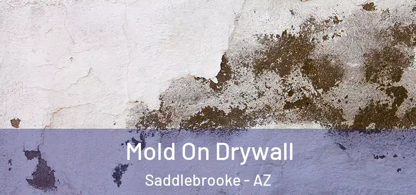  Mold On Drywall Saddlebrooke - AZ
