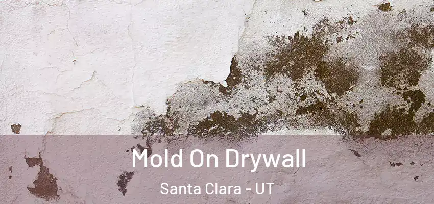  Mold On Drywall Santa Clara - UT