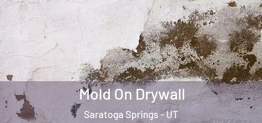  Mold On Drywall Saratoga Springs - UT