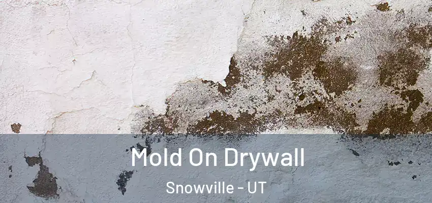  Mold On Drywall Snowville - UT