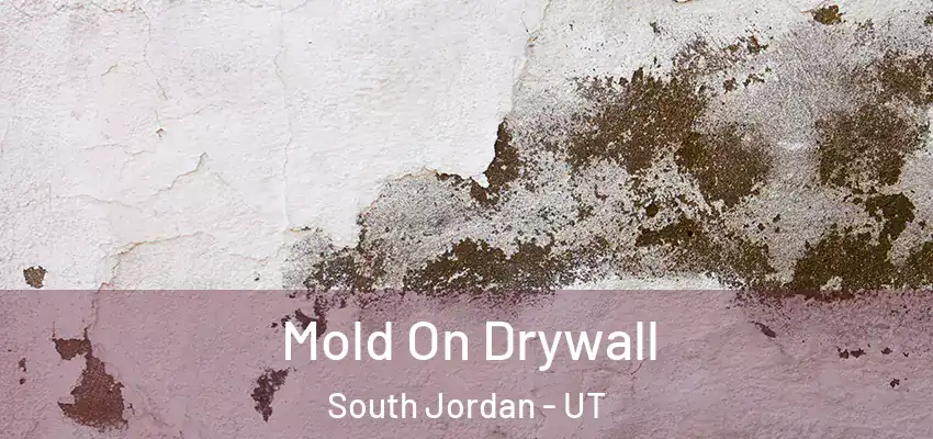 Mold On Drywall South Jordan - UT