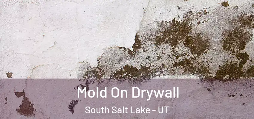  Mold On Drywall South Salt Lake - UT