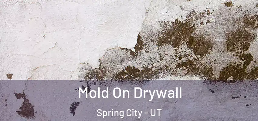  Mold On Drywall Spring City - UT