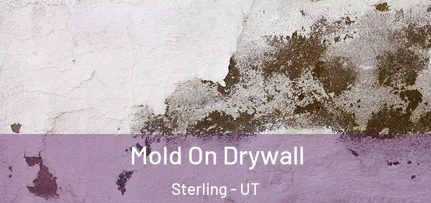 Mold On Drywall Sterling - UT