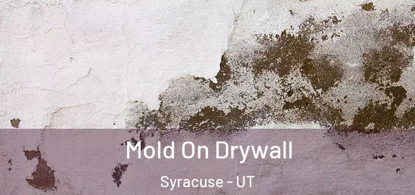  Mold On Drywall Syracuse - UT