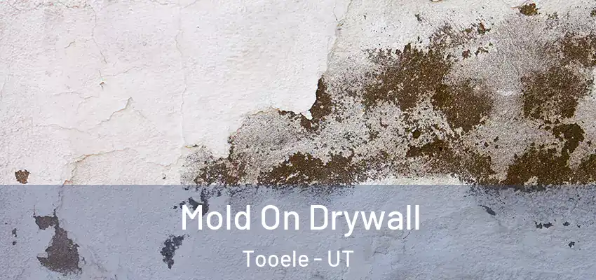  Mold On Drywall Tooele - UT