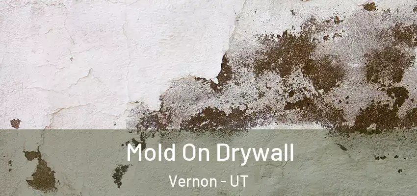 Mold On Drywall Vernon - UT
