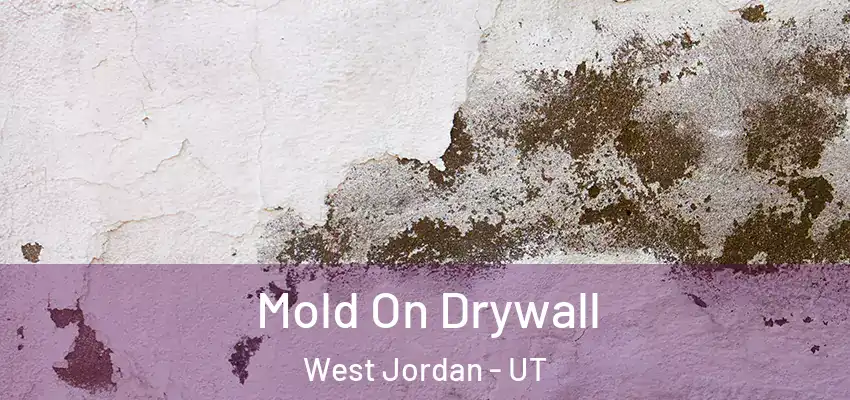 Mold On Drywall West Jordan - UT