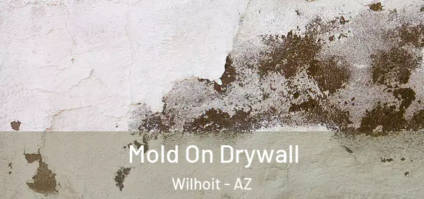 Mold On Drywall Wilhoit - AZ