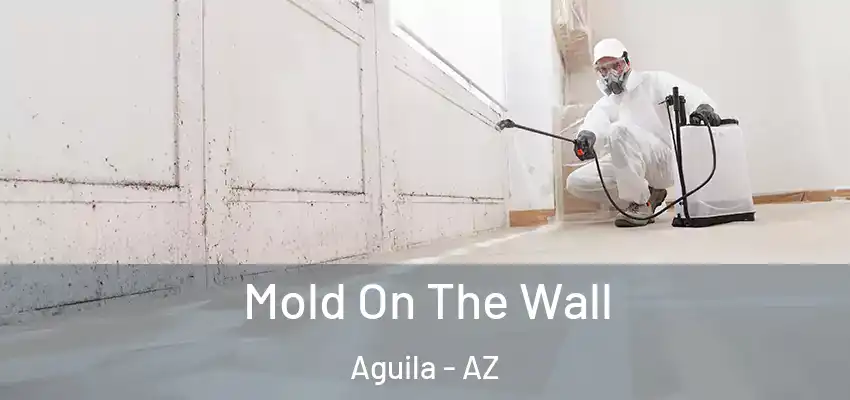  Mold On The Wall Aguila - AZ