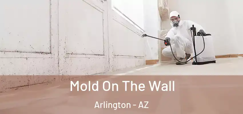  Mold On The Wall Arlington - AZ