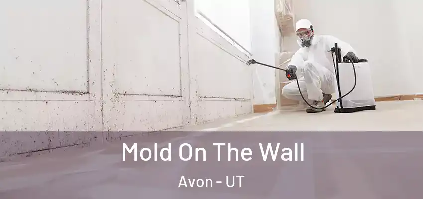  Mold On The Wall Avon - UT