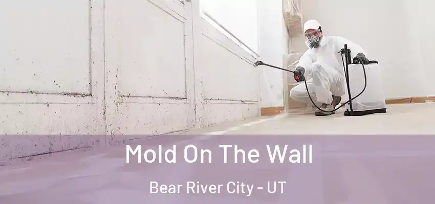  Mold On The Wall Bear River City - UT